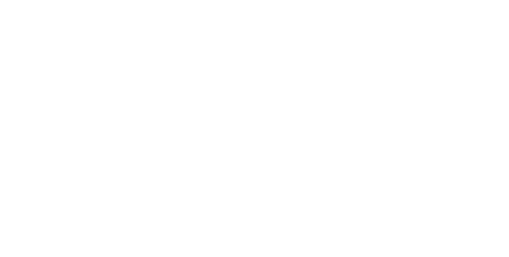 山西壮龙